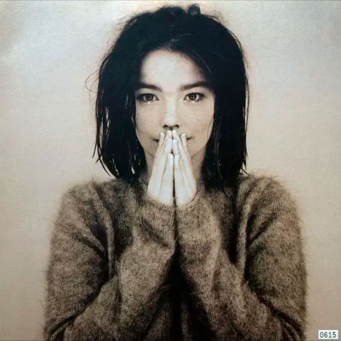 夸克云盘综合资源 - Björk - 1993年专辑 - Debut   Flac