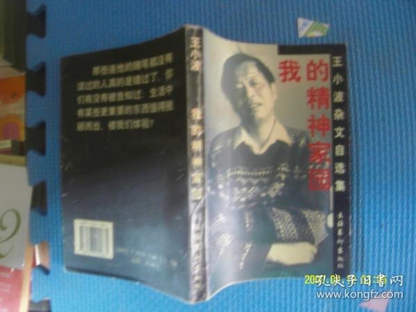 夸克云盘发布频道 - 《新经典开年新作》12册套装 王小波 东野圭吾等知名作家[pdf]