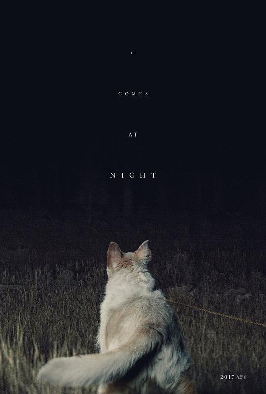 网盘资源收藏(夸克) - 黑夜造访 It Comes at Night 1080p Remux (2017) 中文字幕【16.74GB】已刮削