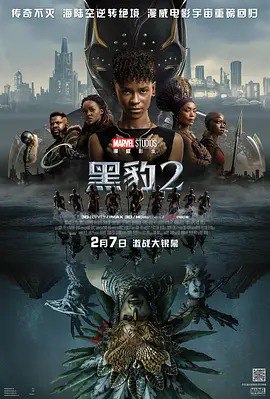 夸克浏览器™的二三事儿 - 黑豹2 Black Panther: Wakanda Forever (2022)