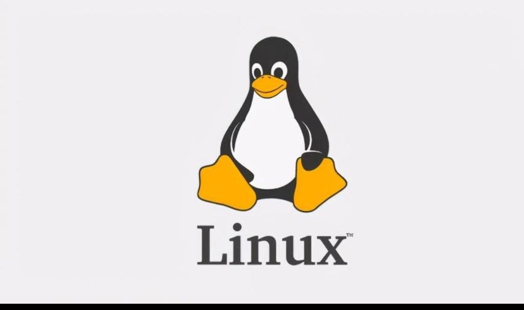 网盘资源收藏(夸克) - Linux运维就业班  附带课件