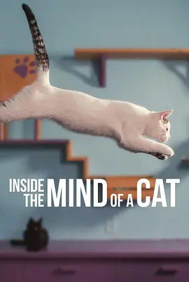 夸克浏览器™的二三事儿 - 喵星人的奇思妙想 Inside the Mind of a Cat (2022)