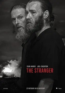 夸克浏览器™的二三事儿 - 双面陌生人 The Stranger (2022)