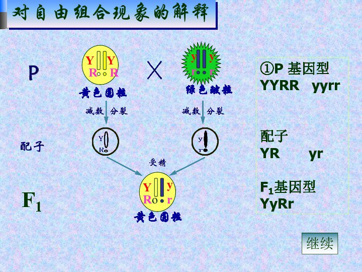 夸克云盘发布频道 - 《让大脑自由》释放天赋的12条定律[epub]