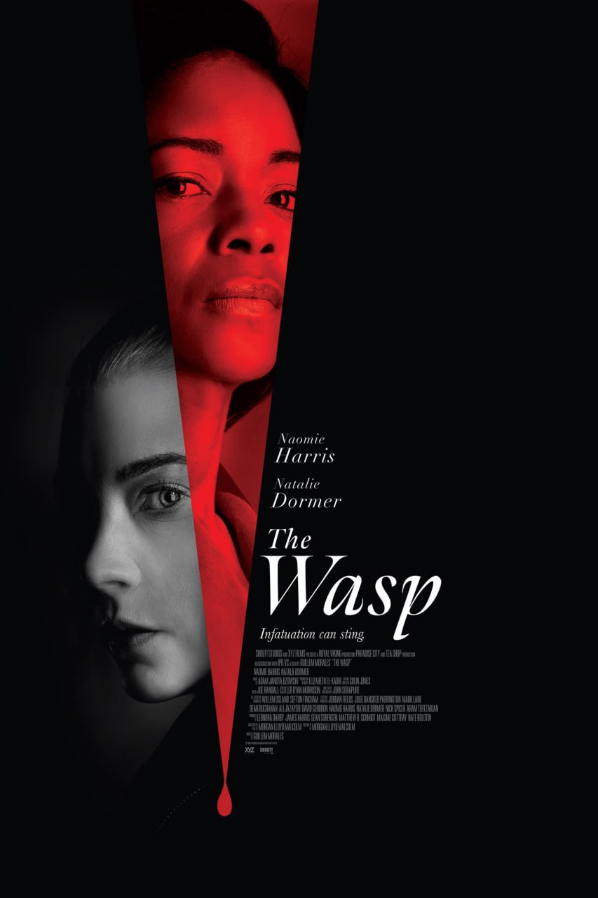 夸克云盘发布频道 - 黄蜂蜇 The.Wasp (2024) 4K高码.外挂中字.2160p.WEB.h265.mkv ( 8.2G )