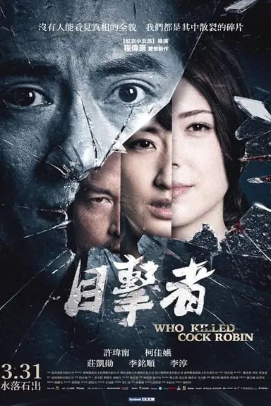 网盘资源收藏(夸克) - 目击者之追凶 (2017) 1080p BDRip 内封简繁