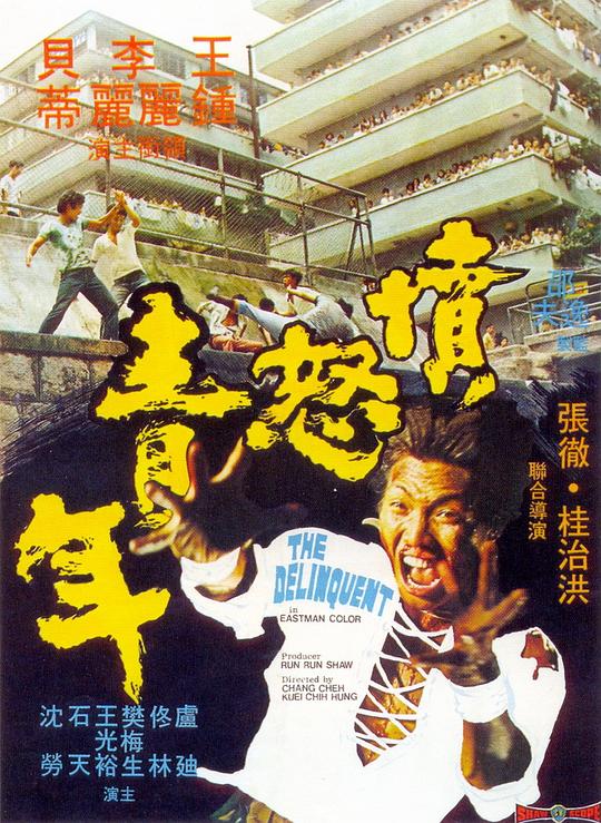 网盘资源收藏(夸克) - 愤怒青年 憤怒青年 1080p Remux (1973)【10.25GB】已刮削