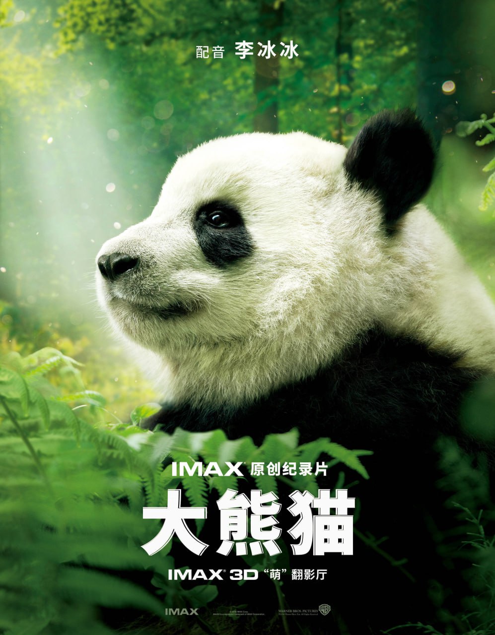 网盘资源收藏(夸克) - 大熊猫 Pandas 4K原盘REMUX【2018】【美国】【纪录片】【内封简英双字】