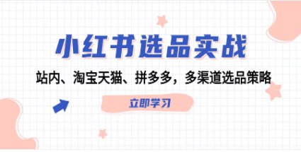 网盘资源收藏(夸克) - 【小红书选品实战】站内、淘宝天猫、拼多多，多渠道选品策略