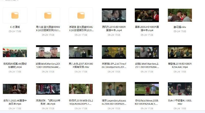 夸克云盘发布频道 - 吴京电影大合集15部 4K 双语字幕