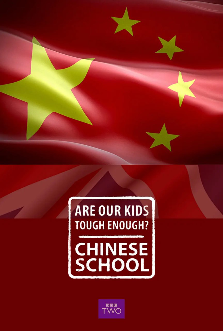 夸克云盘发布频道 - 我们的孩子足够坚强吗？中式学校 Are Our Kids Tough Enough? Chinese School (2015)