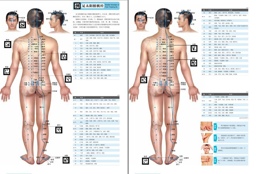 网盘资源收藏(夸克) - 《3D男性经络穴位图册 》  壮阳锁精必学  老中医养生