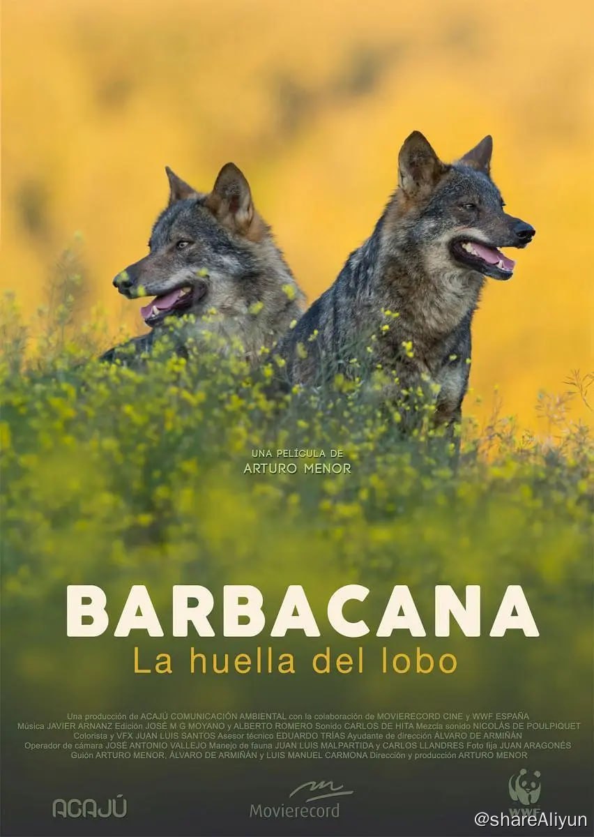 阿里云盘发布频道 - 与狼共存 Barbacana, la huella del lobo (2018)