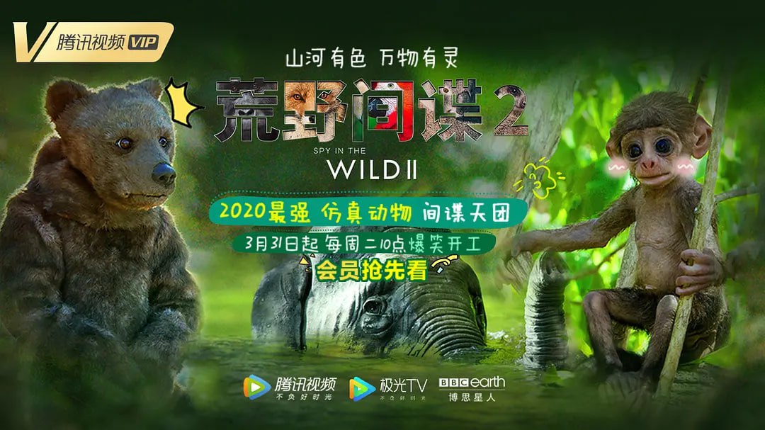 阿里云盘4K影视 - 荒野间谍 第二季 Spy in the Wild Season 2 (2020)