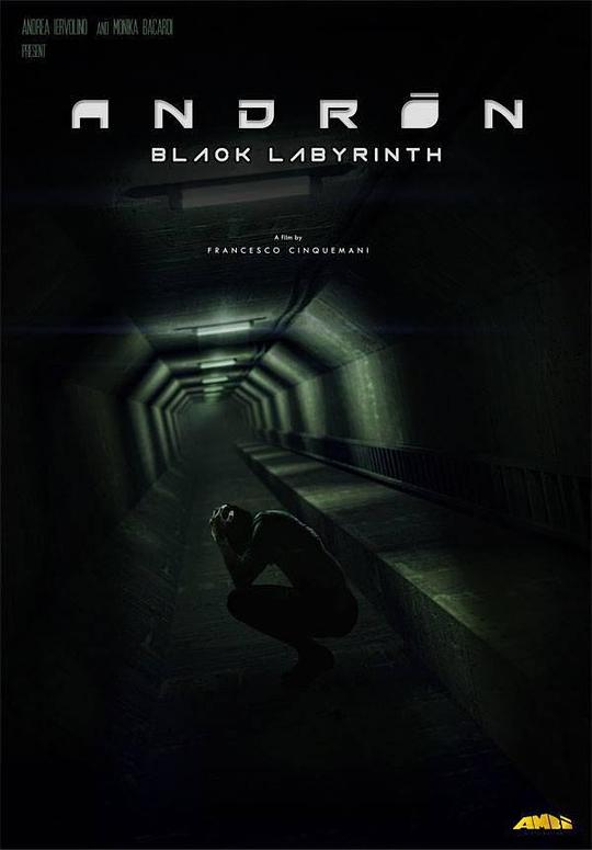 网盘资源收藏(夸克) - 安德烈：黑色的迷宫 Andròn: The Black Labyrinth 1080p Remux (2015) 中文字幕【22.30GB】已刮削