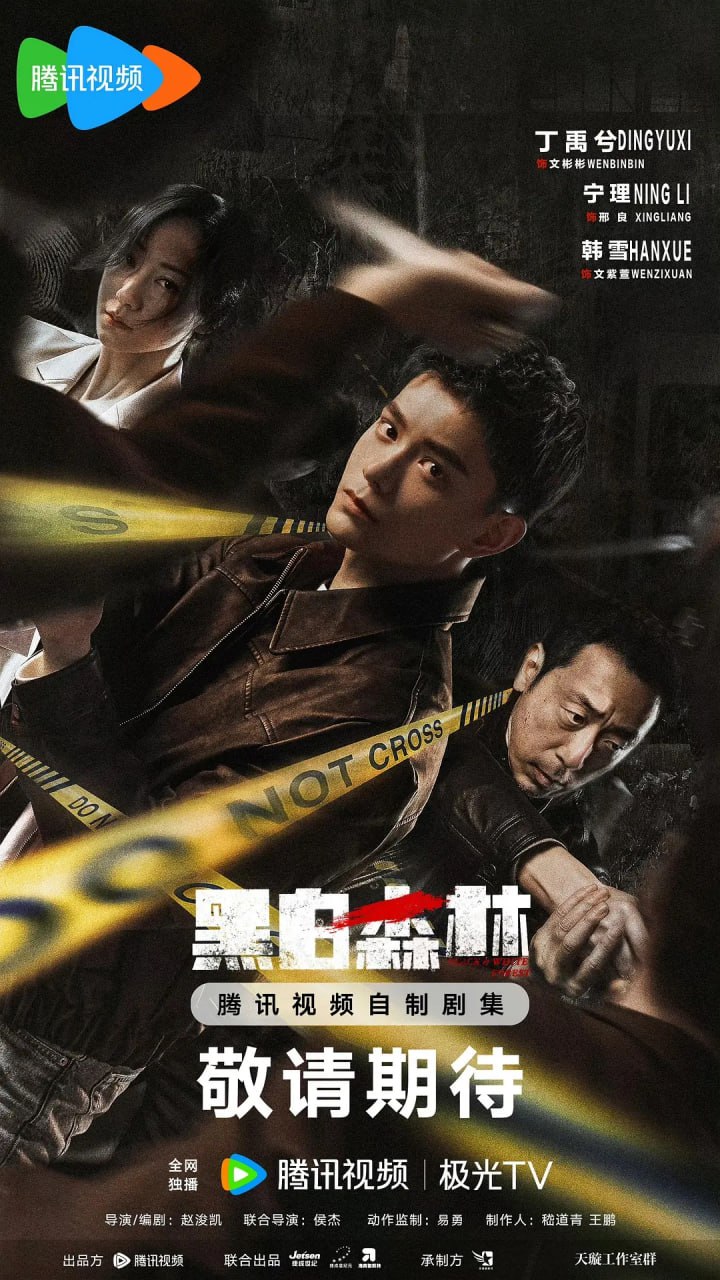 夸克浏览器™的二三事儿 - 黑白森林 (2024) 全28集【1080P 无广告无台标无字幕 丁禹兮/宁理/韩雪】