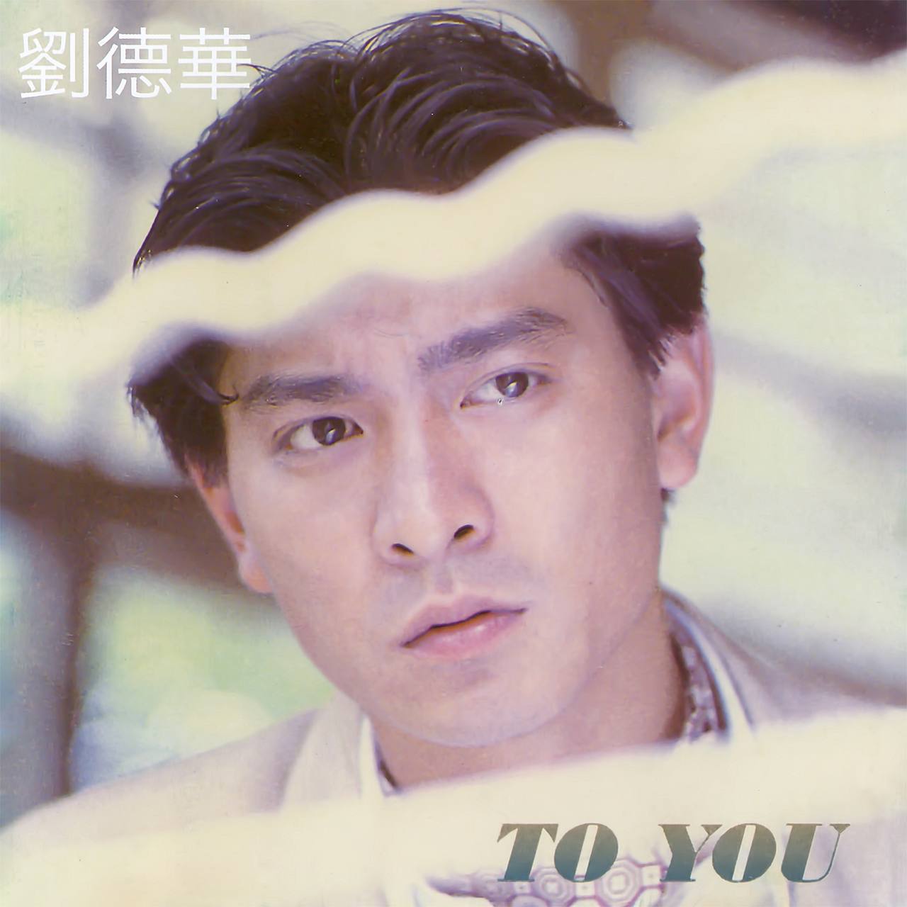 夸克云盘综合资源 - 刘德华 - To You 2017 - FLAC 分轨 （环球唱片 / 8860693 / 环球经典礼赞 / log (100%) / Cue / 自抓扫图）