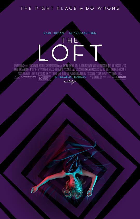 网盘资源收藏(夸克) - 阁楼 The Loft 1080p Remux (2014) 中文字幕【25.72GB】已刮削