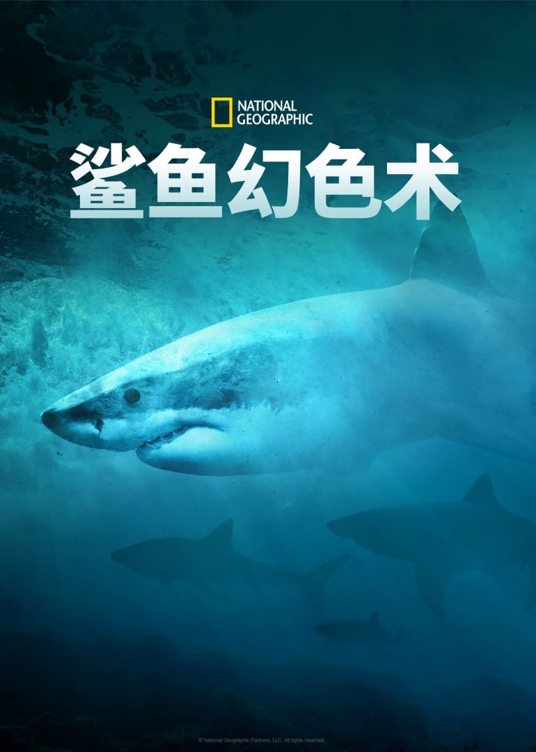 阿里云盘4K影视 - 鲨鱼幻色术 Camo Sharks (2022)