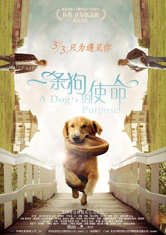 网盘资源收藏(夸克) - 一条狗的使命 A Dog's Purpose 1080p Remux (2017) 中文字幕【27.40GB】已刮削