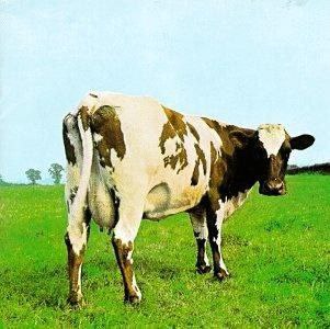 夸克云盘综合资源 - Pink Floyd - 1970年SACD系列 - Atom Heart Mother   DSD128 DSF