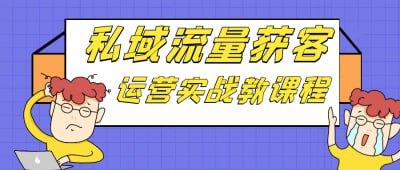 网盘资源收藏(夸克) - 私域流量获客运营实战教课程