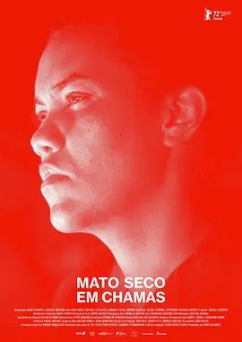 夸克浏览器™的二三事儿 - 燃烧的干灌木 Mato seco em chamas (2022)